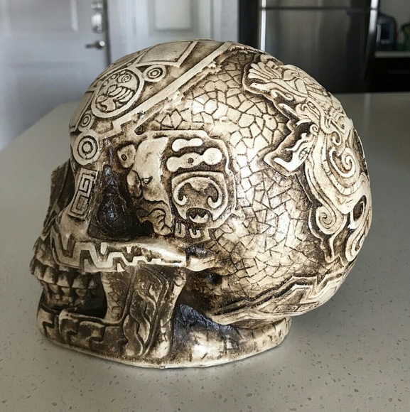 Cast skull - Picture 5 of 8